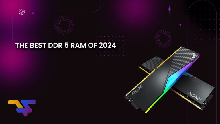 DDR 5 RAM