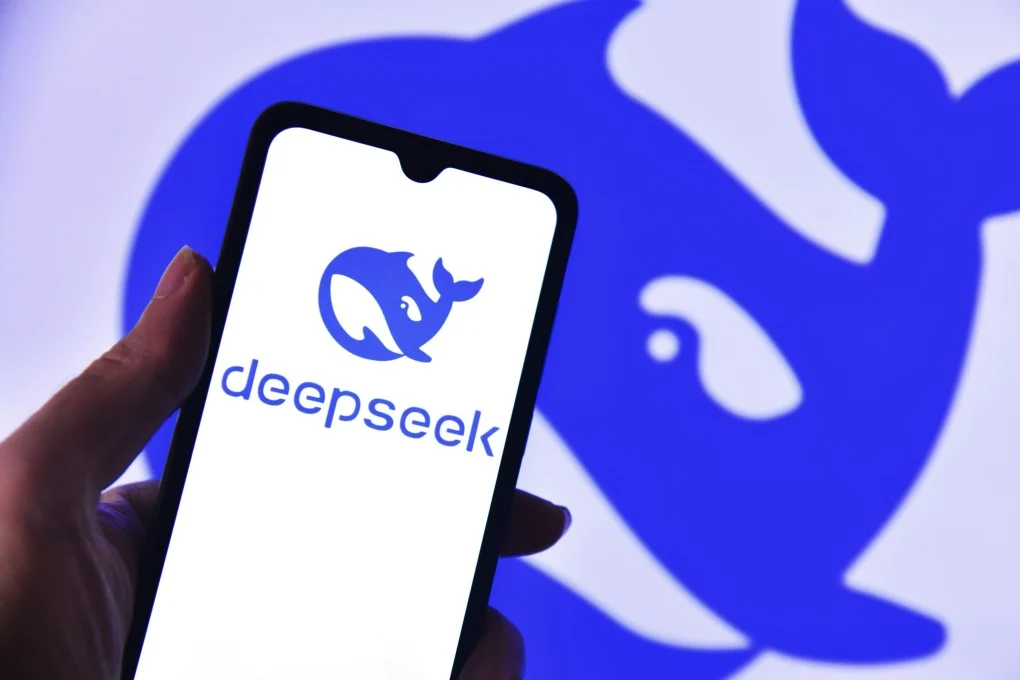 DeepSeek AI system